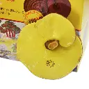 VHP5752.webp